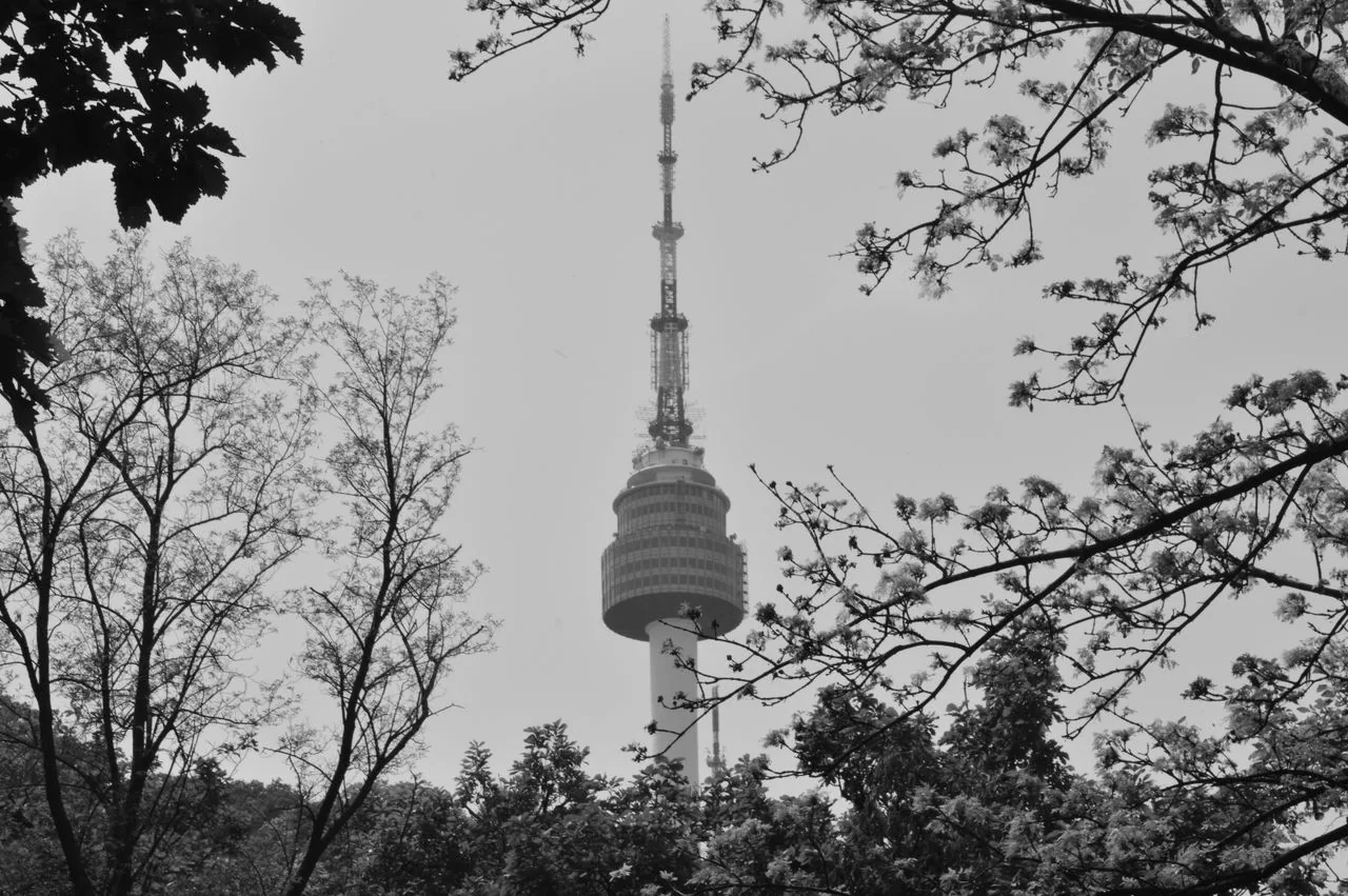 Seoul cityscape with N Seoul Tower at night: food allergy accommodation guide