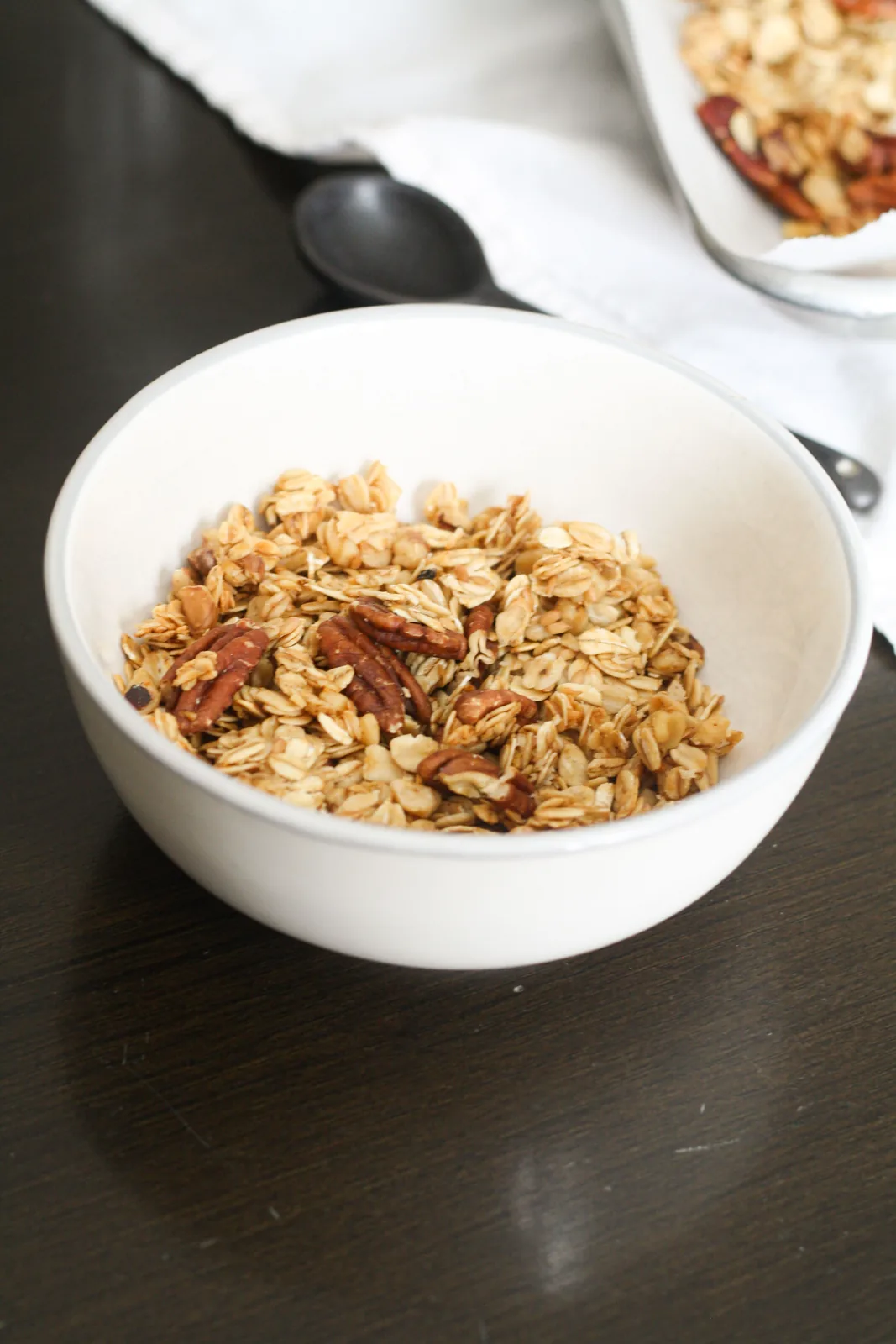 Closeup of a granola and oatmeal bowl