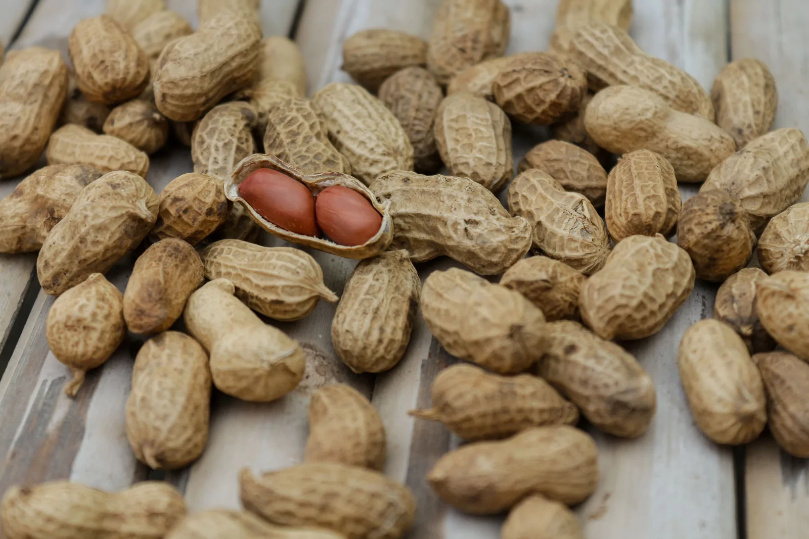 Pile of peanuts, close-up